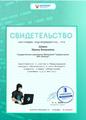 Сертификаты участия в конкурсе «Безопасность в сети Интернет»