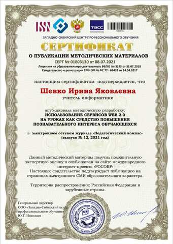 Электронный сетевой журнал 